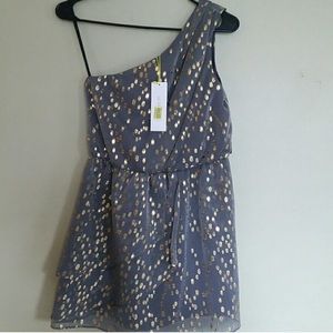 Brand New BCBG One-Shoulder Dress